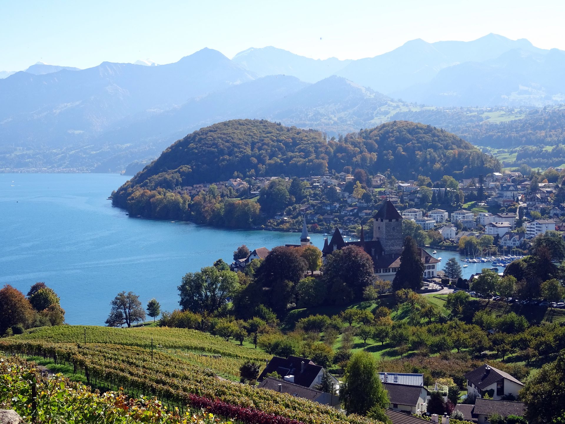Spiez